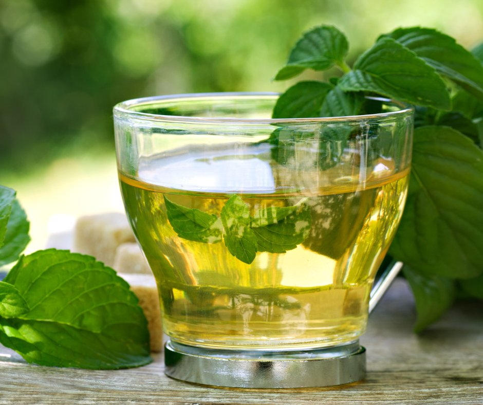 Fresh mint tea